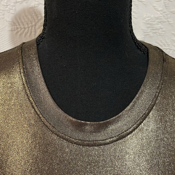 Porridge clothing gold shimmer‎ sheer top, size XXS, NWT - Picture 3 of 14